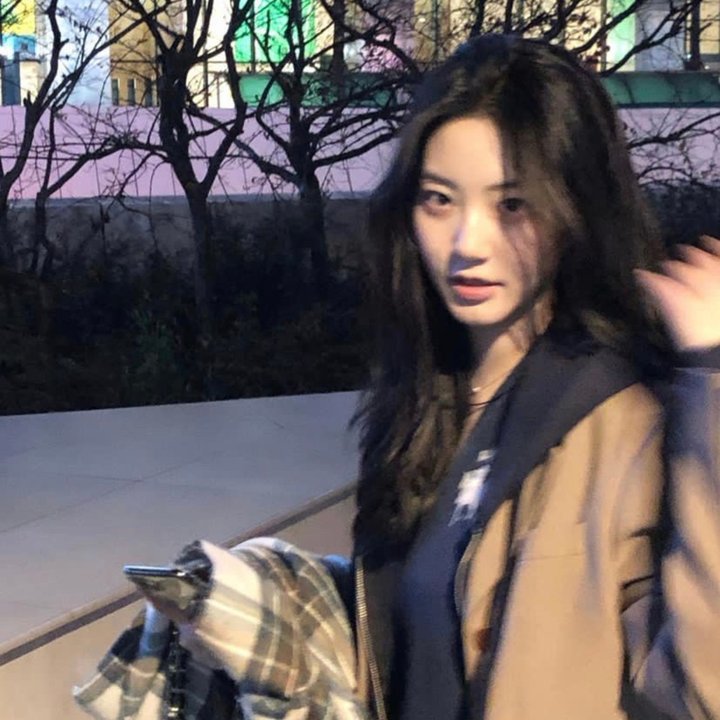 恐动雪梨