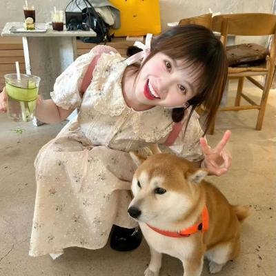 消失的初恋
